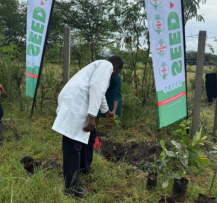 tree-planting