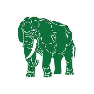 Nzou