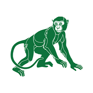Tsoko