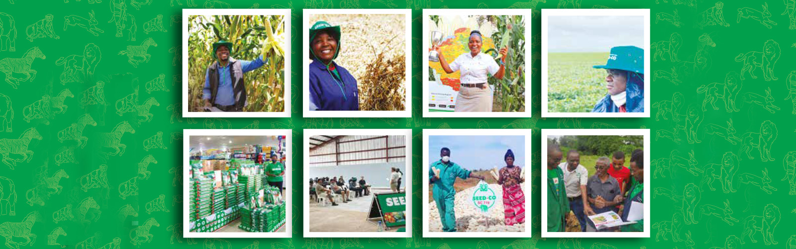 Seed Co International Limited (SCIL.vx) 2022 Annual Report
