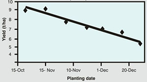 planting date1