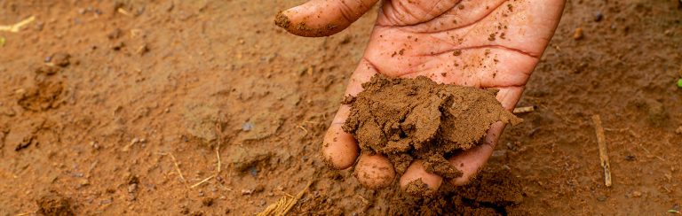 holding wet soil
