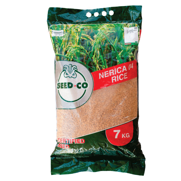 Nerica 04 Rice