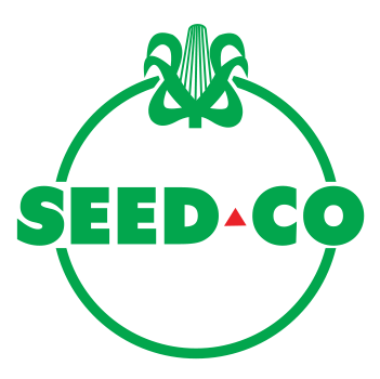 Seed Seed