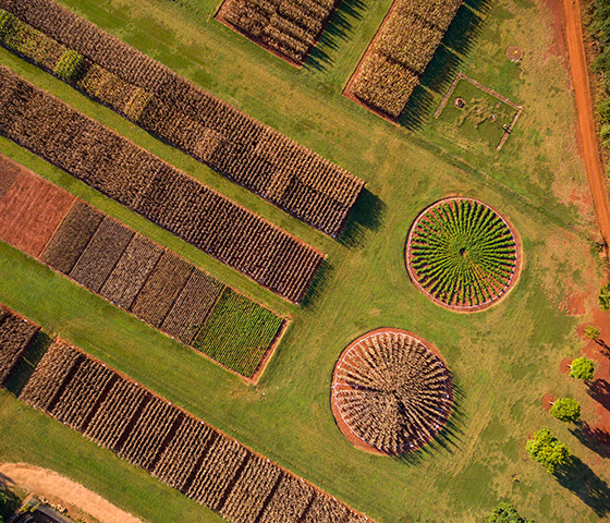 Farmland