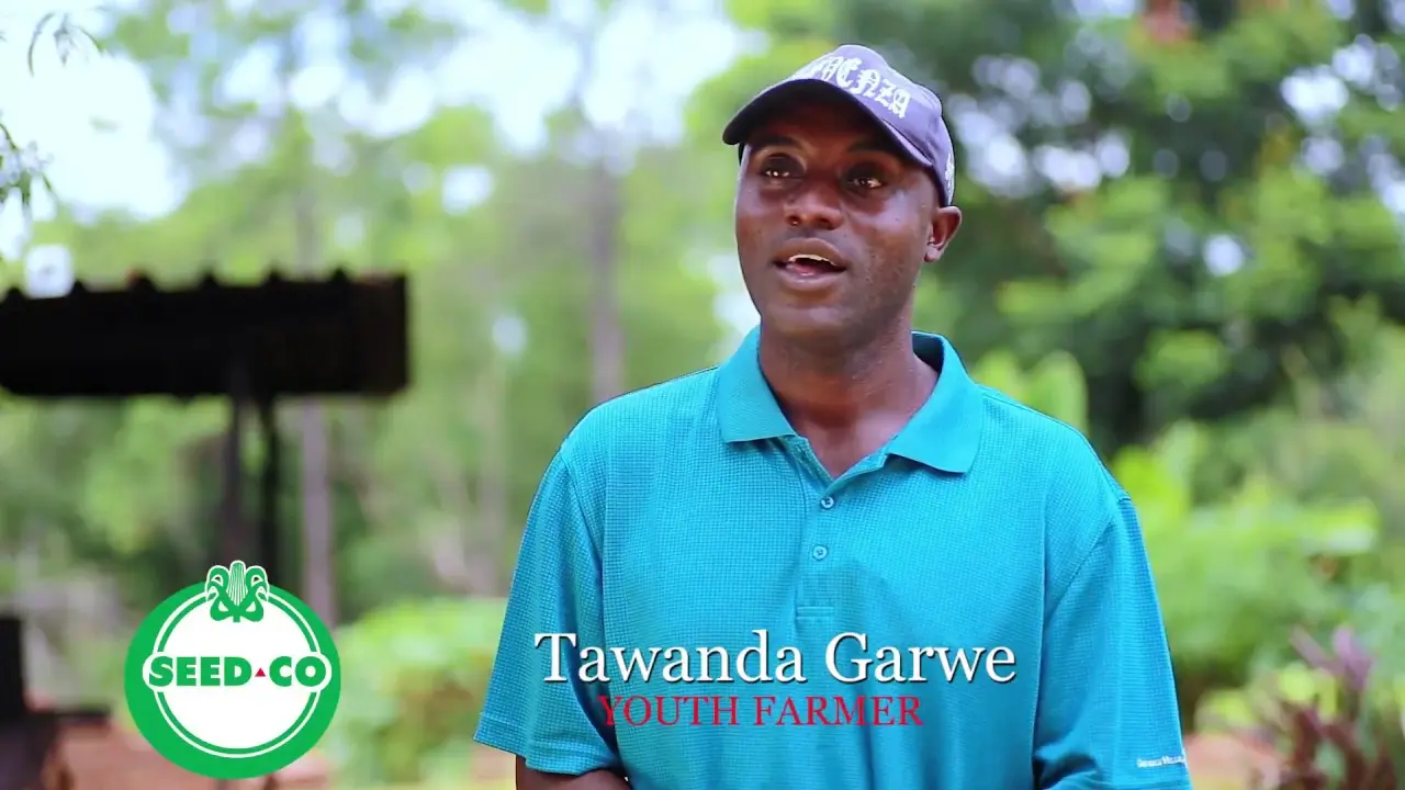 Youths In Agriculture
