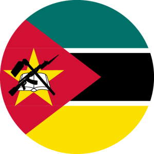 Mozambique flag