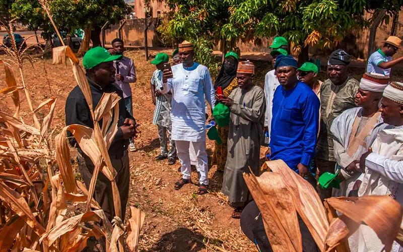 nigeria