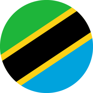 Tanzania flag