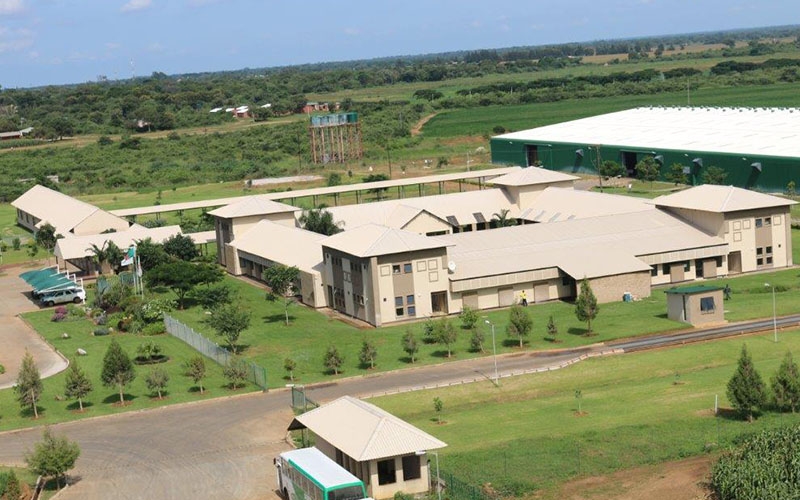 Aerial View of Seed Co