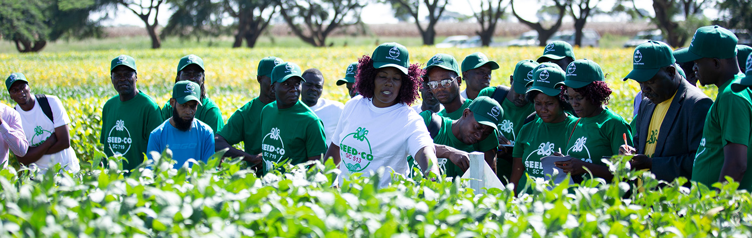 Seed Co Zambia | Field Crops