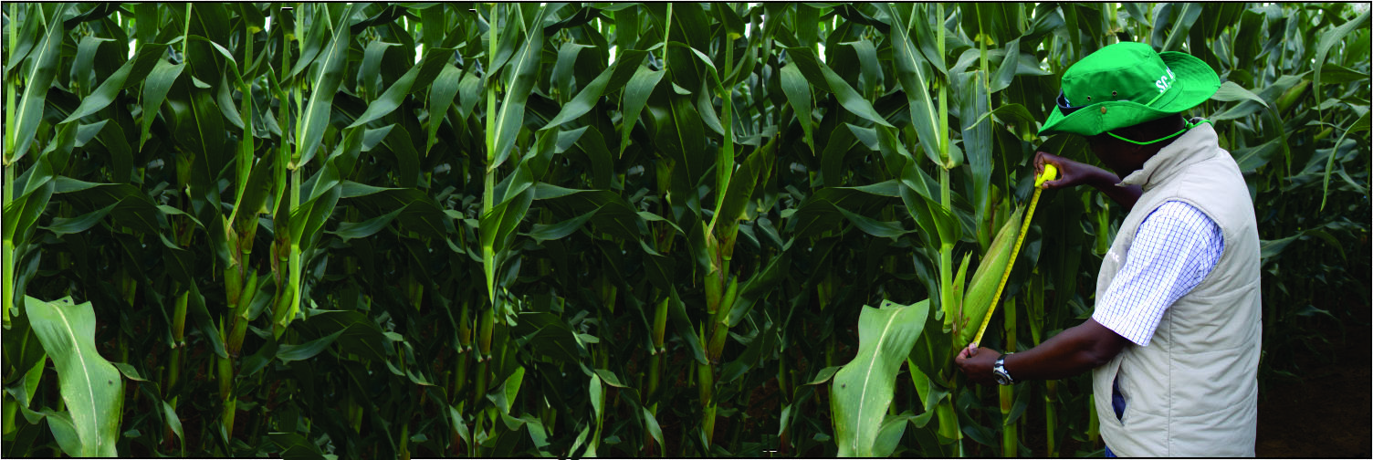 Seed Co Zambia Field Crops