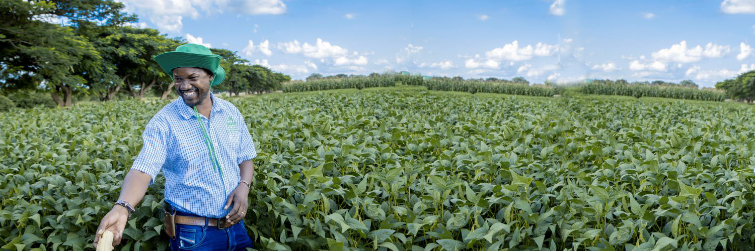 Seed Co Zambia Field Crops