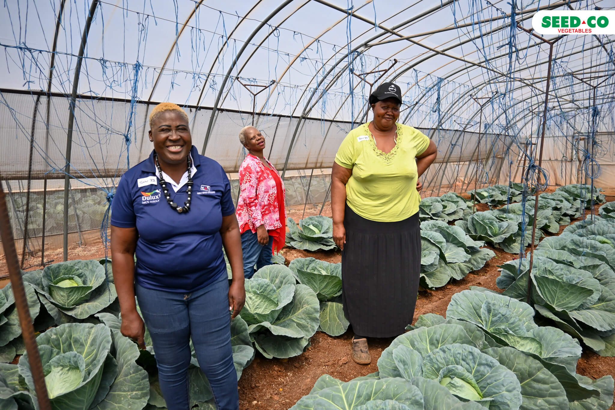 Matabeleland Cabbage Field Day